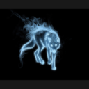 kewlcottoncandy avatar