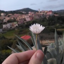 key-of-everything avatar