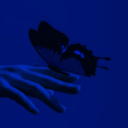 keybladeseeker0 avatar