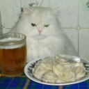 keyboard-crat avatar