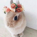 keylah-johnson avatar