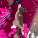 keylainne3321 avatar