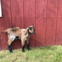 keys2infinity avatar