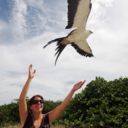 keywestwildlifecenter avatar