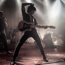 kgbird-remade avatar