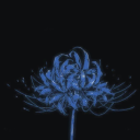 kha0s-wilting avatar