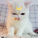 khaleesikitty avatar