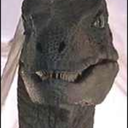 khamosaurus-rex avatar