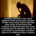 khan-archives avatar