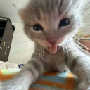 kiaaaaaasworld avatar