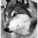 kiarythewolf avatar