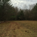 kick-me-in-the-teeth avatar