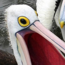 kickdrumheart avatar