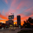 kickingdandeli0ns avatar