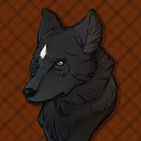 kidarwolf avatar