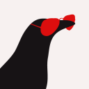 kidcorvidae avatar