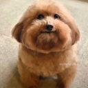 kidnamedpubert avatar