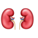 kidneyhealthsolutions avatar