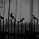 kidsstaykidsforever avatar