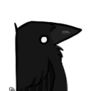 kierans-crow avatar