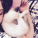 kiki-kokolores avatar