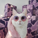 kikilamu avatar