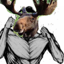 kikithehousemoose avatar