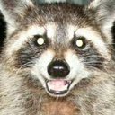 kikkelipurkki avatar