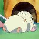 kikoloschnuffel avatar