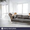 kilipl-astrape avatar