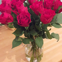 kill-me-with-your-kindness avatar