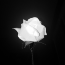 killed-by-you avatar