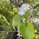 killedinloverslane avatar