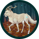 killer-rabbit-of-caerbannog avatar