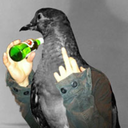 killerchickadee avatar
