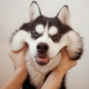 killercrayonbocks avatar