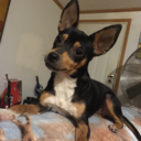 killerkatanime avatar