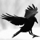 killermich-blog avatar