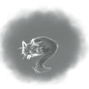 killerofsharpies avatar