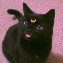 killerqueen231 avatar