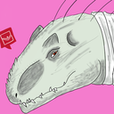 killingforsport-blog avatar