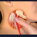 killingloneliness-withyou avatar