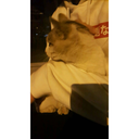 killingoffreedom avatar