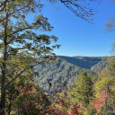 killingoffthegoodones avatar