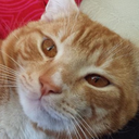 kilmisterandjicky avatar