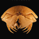 kilroywasqueer avatar