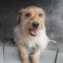 kim-jea-moung avatar