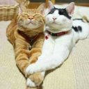 kim98zi930-blog avatar