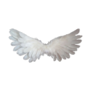 kimb3rlys-c0rn3r-0f-fr3aks avatar