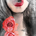 kimber7433blog avatar